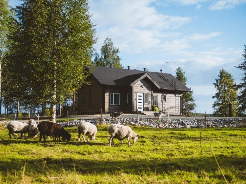 Sommerhus - 8 personer -  - Rovaniemi - 97685