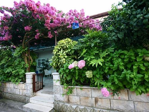 Holiday apartment - 3 persons -  - Lovište - 20269 - Loviste