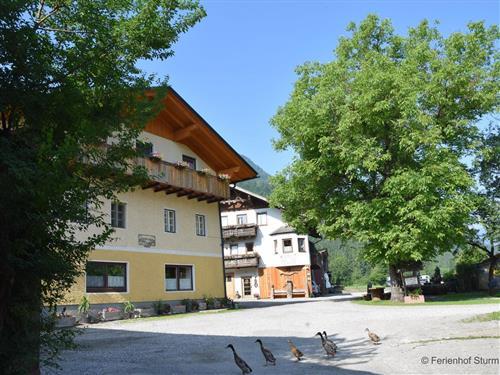 Bondegård - 5 personer -  - Nölbling - 9635 - Dellach