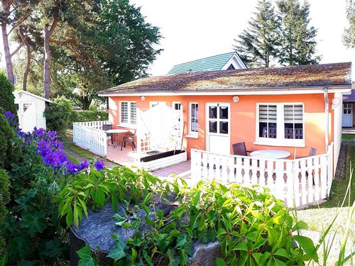 Ferielejlighed - 2 personer -  - Amselweg - 18609 - Binz