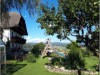 Bilde 15