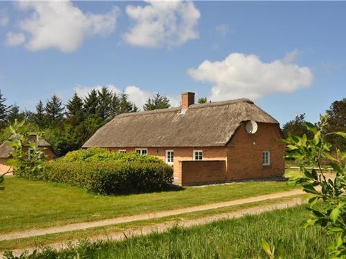 Sommerhus - 8 personer -  - Vester Mosevej - Vester Husby - 6990 - Ulfborg