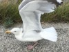 Bild 23