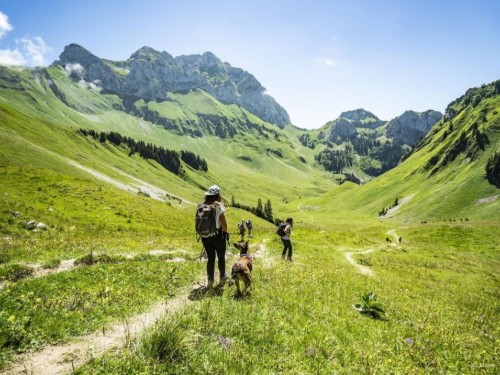 Ferielejlighed - 4 personer -  - 74390 - Châtel
