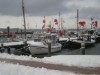 Bild 17