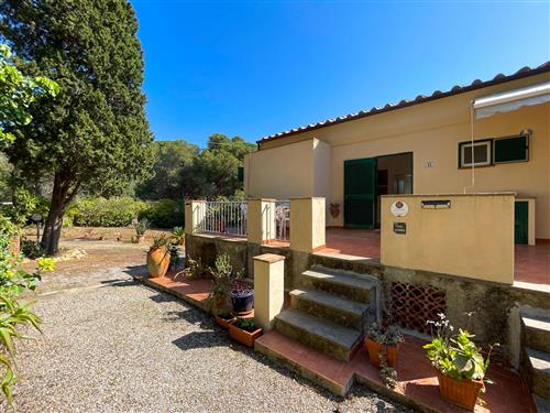 Holiday Home/Apartment - 5 persons -  - Località Terranera - 57036 - Porto Azzurro