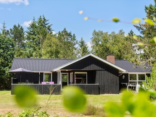 Feriehus - 6 personer -  - Toftevej - Ho - 6857 - Blåvand