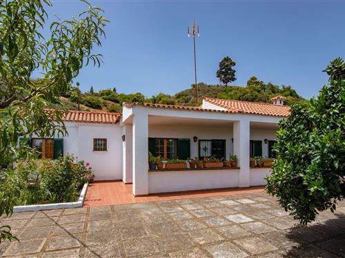 Sommerhus - 6 personer -  - 35329 - Vega De San Mateo