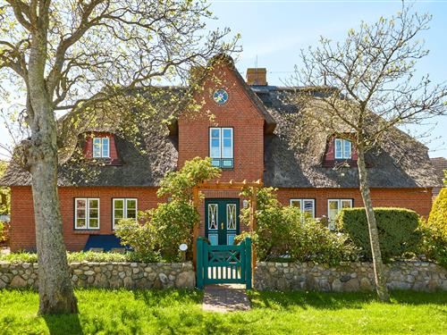 Ferielejlighed - 4 personer -  - Dörpstrat - 25938 - Oevenum