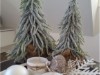 Bild 41