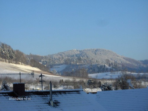  - 1 person -  - Dorfstrasse - 77797 - Ohlsbach