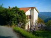 Image 14 - Outside