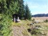 Bild 13