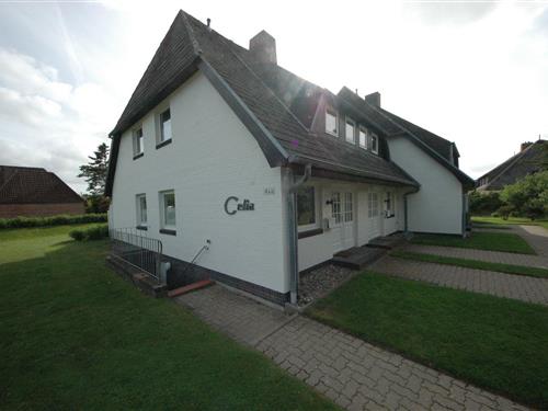 Holiday Home/Apartment - 4 persons -  - Weidenstieg - 25996 - Sylt/Ot Wenningstedt