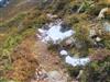 Bild 62