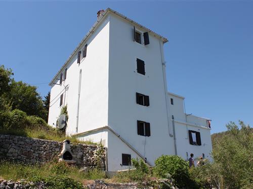 Holiday apartment - 3 persons -  - Beli - 51559 - Beli