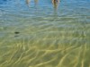 Bild 22