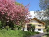 Bild 47