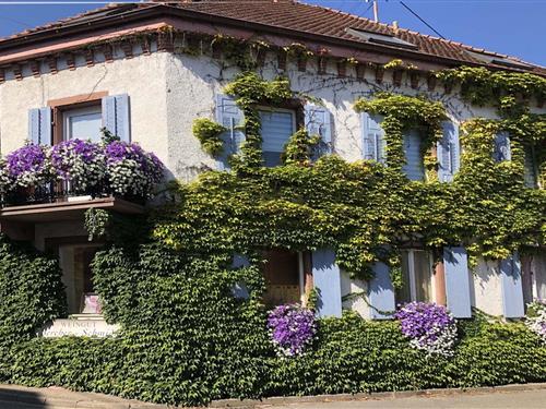Ferielejlighed - 4 personer -  - 79235 - Oberrotweil