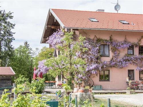 Ferienhaus - 4 Personen -  - Neukirchner Straße - 83083 - Riedering