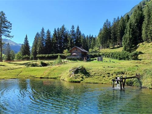 Holiday Home/Apartment - 6 persons -  - 5653 - Rauris