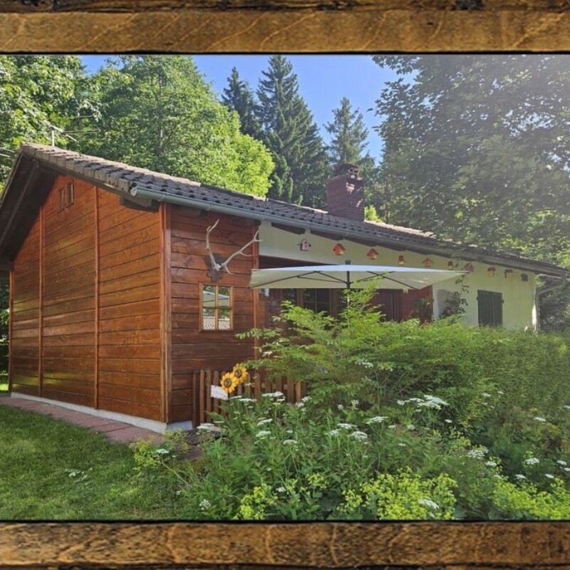 Sommerhus - 6 personer -  - 79868 - Feldberg-Falkau
