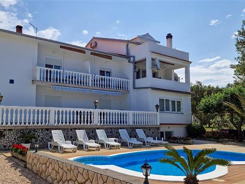 Ferieleilighet - 2 personer -  - Barbat - Rab-Barbat - 51280 - Rab