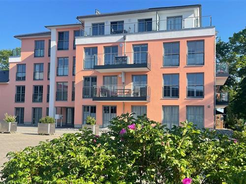 Holiday apartment - 4 persons -  - Chausseestraße - 18581 - Putbus