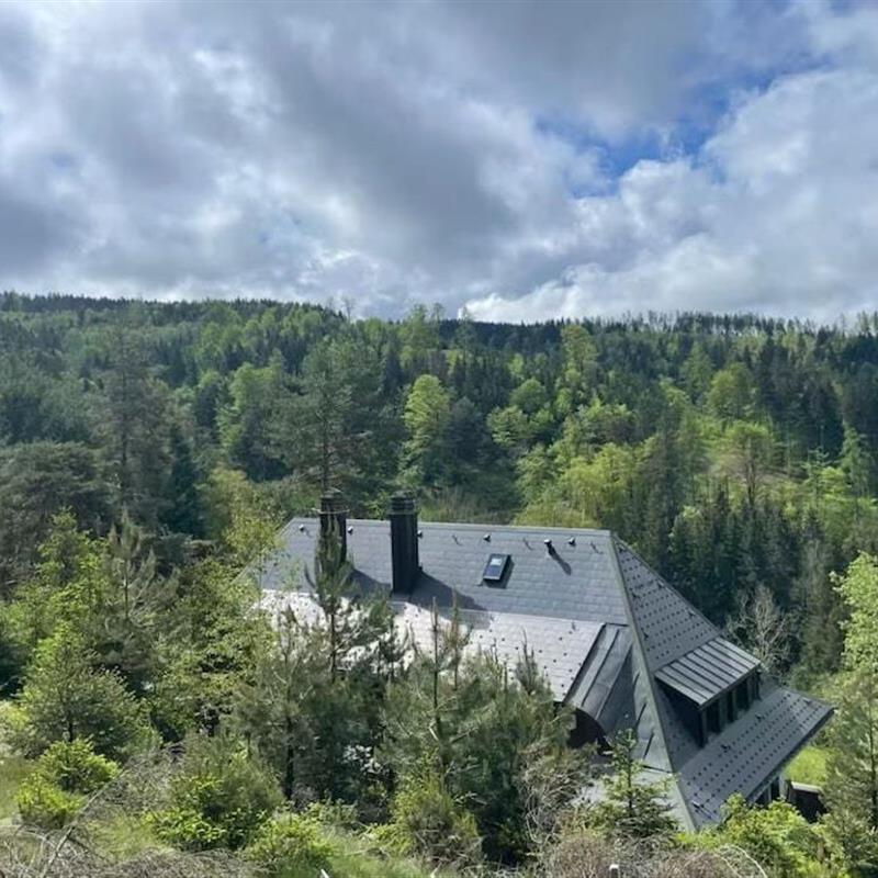 Sommerhus - 11 personer -  - 78120 - Furtwangen