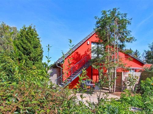 Semesterlägenhet - 2 personer -  - Ollendorf - 17237 - Grünow