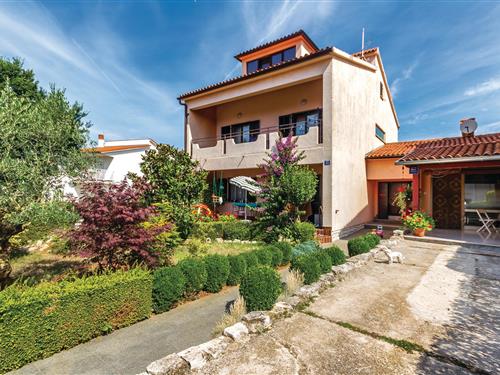 Ferienwohnung - 3 Personen -  - Dragonja - Fazana-Valbandon - 52212 - Fazana