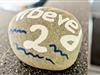 Billede 21