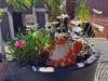 Bild 14