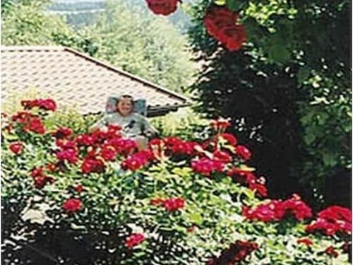 Feriehus - 6 personer -  - 94267 - Prackenbach