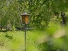 Billede 42 - Grund