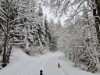 Bild 51 - Ude