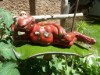 Bild 25