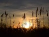 Bilde 4