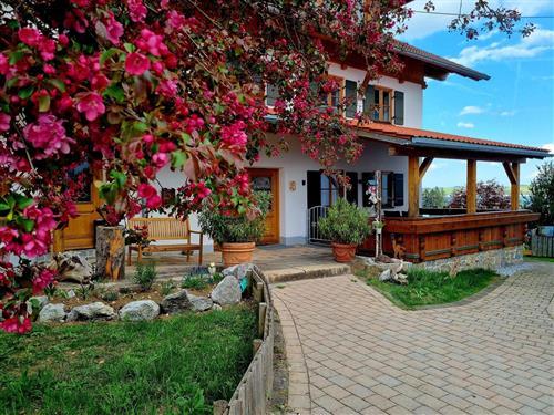 Semesterlägenhet - 2 personer -  - Bachtalstraße - 87669 - Rieden-Osterreinen