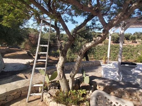 Ferieleilighet - 4 personer -  - Ostuni - 72017