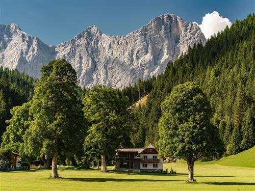 Feriehus / leilighet - 10 personer -  - Schildlehen - 8972 - Ramsau Am Dachstein