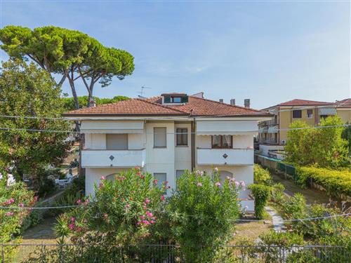 Feriehus / leilighet - 5 personer -  - Lido Di Camaiore - 55041