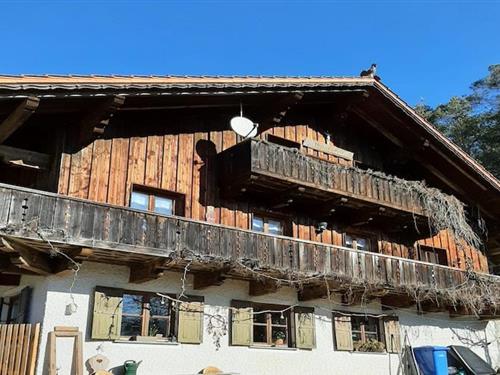 Holiday Home/Apartment - 4 persons -  - 94234 - Viechtach