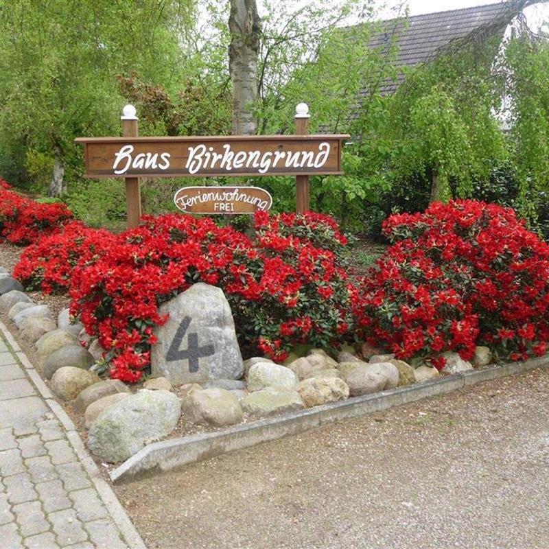 Ferielejlighed - 2 personer -  - Achter de Dünen - 25826 - St. Peter-Ording