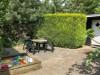 Bilde 14 - Terrasse