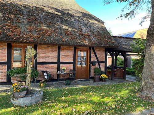 Ferielejlighed - 5 personer -  - Fahrener Weg - 23992 - Zurow