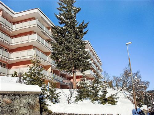 Ferielejlighed - 1 person -  - Arosa - 7050