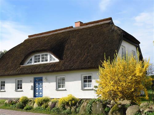 Semesterhus/Semesterlägenhet - 2 personer -  - Boddenstraße - 18586 - Groß Zicker