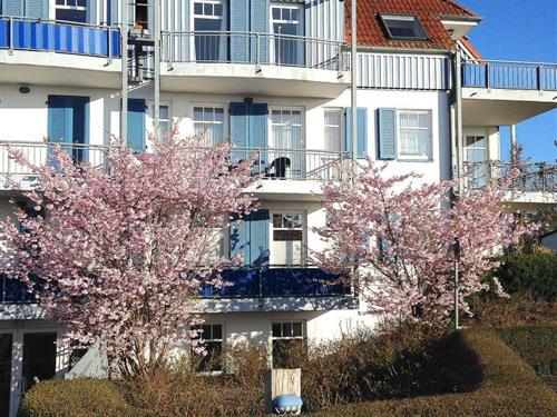 Holiday Home/Apartment - 4 persons -  - Stromstrasse - 18374 - Seeheilbad Zingst