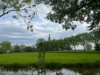 Image 35